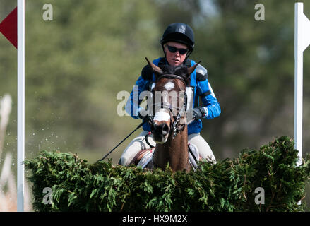 Raeford, North Carolina, États-Unis. Mar 25, 2017. COLLEEN RUTLEDGE et UNO en concurrence sur le cross-country, conçu par Ian Stark à la Caroline 2017 CIC International & Horse Trial 25 Mars à Carolina Horse Park à Raeford, N.C. Le quatrième événement annuel a accueilli certains des meilleurs combinaisons d'événements dans les CIC1*, 2*, 3* et divisions ainsi que la concurrence nationale à la formation à travers les niveaux avancés. Banque D'Images