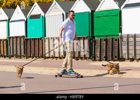 Bournemouth, Dorset, UK. Mar 26, 2017. Météo France : belle chaude journée ensoleillée comme visiteurs chef de la mer à profiter du soleil sur les plages de Bournemouth. En tenant la planche de chiens pour un tour ! Credit : Carolyn Jenkins/Alamy Live News Banque D'Images