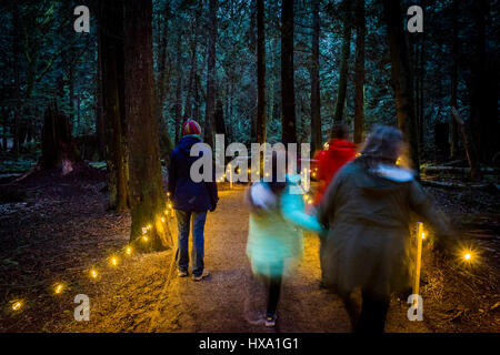 Vancouver, BC, Canada. 25 mars 2017. Nuit nature Quest événement lanterne, Pacific Spirit Regional Park, Vancouver, Colombie-Britannique, Canada. Crédit : Michael Wheatley/Alamy Live News Banque D'Images