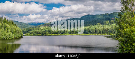 Grand panorama de lac de montagne entre les forêts Banque D'Images