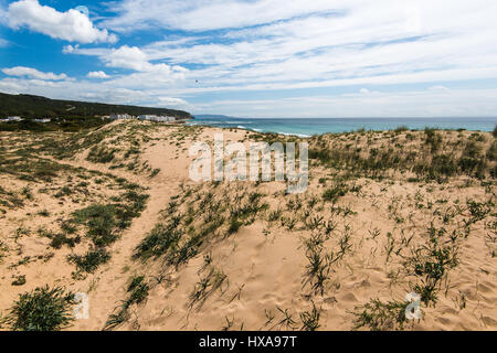 Dans le parc naturel des dunes de Zahara de los Atunes, Espagne dans la province de Cadix Banque D'Images