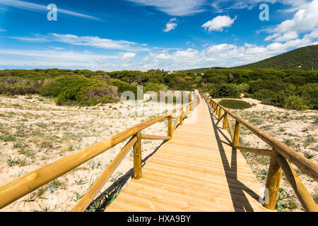 Dans le parc naturel des dunes de Zahara de los Atunes, Espagne dans la province de Cadix Banque D'Images