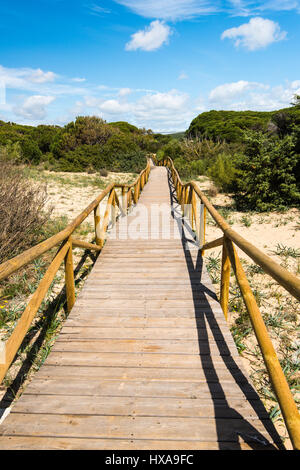 Dans le parc naturel des dunes de Zahara de los Atunes, Espagne dans la province de Cadix Banque D'Images