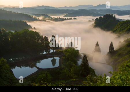 Misty Mountain Valley avec arbres, montagnes et des étangs. Banque D'Images