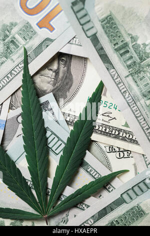 Feuilles de marijuana sur american dollar bills. Images conceptuelles sur l'effet de la drogue récréative dans l'économie américaine. Banque D'Images