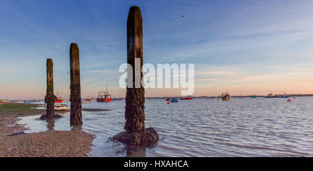 Poteaux en bois en décomposition dans l'estuaire de la rivière Deben, Suffolk, Angleterre. Banque D'Images