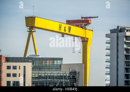 Renommée mondiale de la Harland and Wolff grue dans Titanic Quarter à Belfast. Banque D'Images