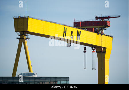 Renommée mondiale de la Harland and Wolff grue dans Titanic Quarter à Belfast. Banque D'Images