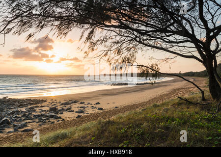 Lever du soleil le long de la plage de Mon Repos. Bundaberg, Queensland, Australie Banque D'Images