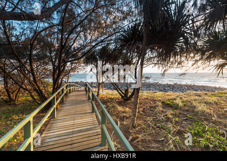 Vue le long chemin vers la plage de Mon Repos, à l'aube. Bundaberg, Queensland, Australie Banque D'Images