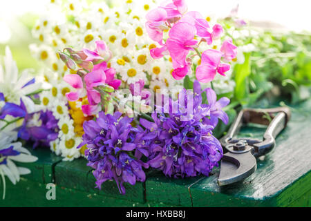 Frais coupé différents types de fleurs dans son jardin d'été Banque D'Images