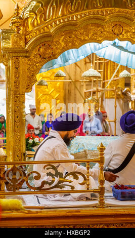 Prêtre sikh portant un turban bleu en Gurudwara Bangla Sahib, un temple sikh à New Delhi, capitale de l'Inde, à proximité de Connaught Place Banque D'Images