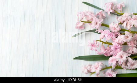 Jacinthe rose des fleurs sur une table en bois Banque D'Images