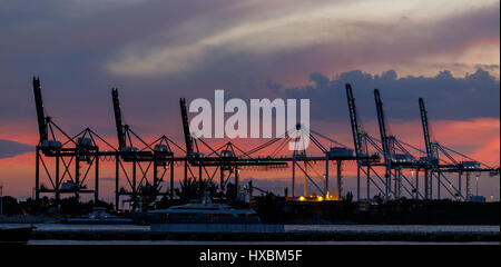 Terminal à conteneurs du Port de Miami, Floride Banque D'Images