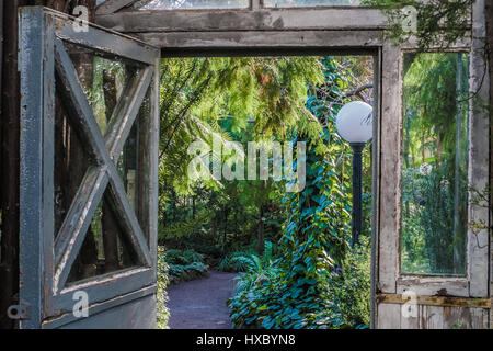 Vintage jardin portes avec des plantes tropicales sur fond vert Banque D'Images