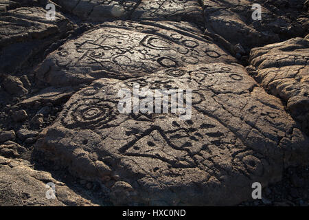 Pétroglyphes nous apprendre beaucoup sur l'histoire de Hawaii, dont certaines remontent au xvie siècle. Les Hawaiiens appellent cette forme de rock art 'amp Banque D'Images