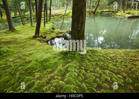 Le Jardin de mousse au Temple Saihō-ji est l'un des rares temples à Kyoto où les visiteurs doivent demander une invitation à l'avance avant leur visite. Les visiteurs Banque D'Images