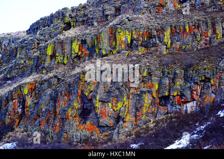 Les roches de Medicine Lodge avec le lichen de plus en vert, jaune, rouge et orange sur eux. Les murs de pierre de lave Banque D'Images