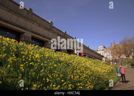 National Gallery of Scotland le café des National Galleries of Scotland Edinburgh Princes Street Gardens jonquilles et selfie Banque D'Images