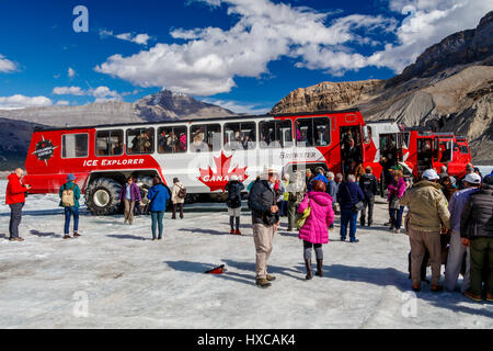 Columbia Icefield Glacier Athabasca, parc national de Jasper, Canada. Banque D'Images