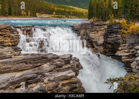 Athebasca Falls sur la rivière Athabasca dans le parc national Jasper, Alberta, Canada. Banque D'Images