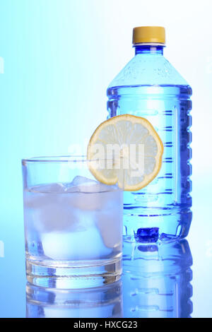 Verre de l'eau avec du citron et de l'eau bouteille, Wasserglas mit Zitrone und Wasserflasche Banque D'Images