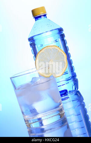 Verre de l'eau avec du citron et de l'eau bouteille, Wasserglas mit Zitrone und Wasserflasche Banque D'Images