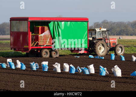 Tarleton, Lancashire, Royaume-Uni. Météo britannique. 27 mars, 2017. Belle journée de printemps pour les semis de laitue. Les laitues sont plantés à l'aide d'un semoir automatique guidé par satellite tirée par un tracteur à chenilles. Les travailleurs migrants alimentent la machine automatique de petites fiches les cultures qui seront ensuite recouverts de molleton agricole contre toute la nuit jusqu'à ce que le risque de gel est passé. Les employés dans ce secteur sont confrontés à un avenir incertain avec le déclenchement imminent de l'article 50. /AlamyLiveNews MediaWorldImages Crédit : Banque D'Images