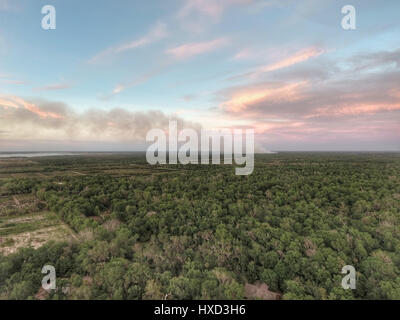 Genève, en Floride, aux États-Unis. 27 mars 2017. Un feu de broussailles sauvages, Genève, FL, USA Crédit : Jennifer Helton/Alamy Live News Banque D'Images