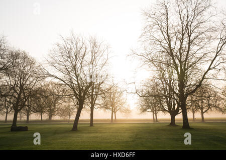 Windsor, Royaume-Uni. 28 mars, 2017. Le soleil se lève sur un matin brumeux derrière Londres et marronnier platanes bordant la longue marche dans Windsor Great Park. Credit : Mark Kerrison/Alamy Live News Banque D'Images