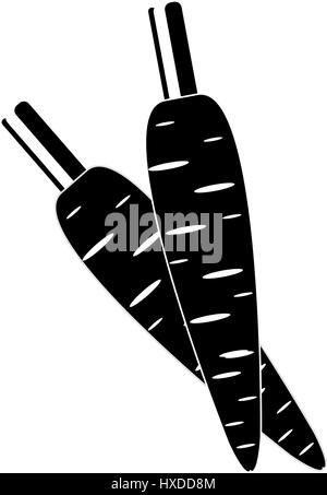 Vector cartoon style plat icône de deux carottes avec les tiges. Noir et blanc illustration isolé. Illustration de Vecteur