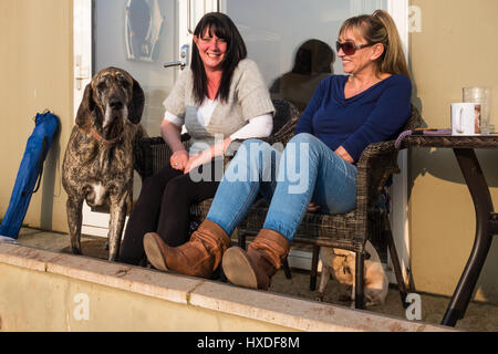 Deux femelles assis dans le soleil avec un dogue chien dans le Devon, Royaume-Uni. Banque D'Images