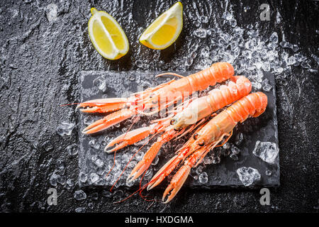 Langoustines fraîchement pêché sur la glace Banque D'Images