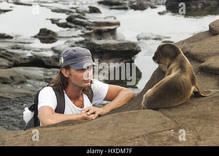L'Equateur, Galapagos, l'île de Santiago, Puerto Egas, Galapagos fur seal pup avec le visiteur Banque D'Images