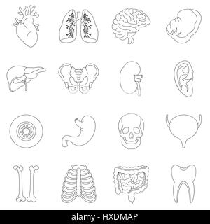 Les organes de l'ensemble des icônes de style du contour, Illustration de Vecteur