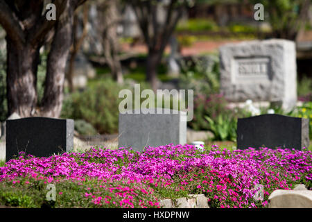 Cimetière Old Sacramento situé à Sacramento, Californie, États-Unis. Photos en couleurs illustrant les beaux aménagements paysagers de ce vieux cimetière. Banque D'Images