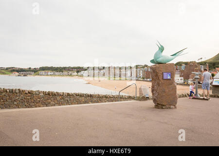 Scottish Seabird Centre, North Berwick, Ecosse Banque D'Images