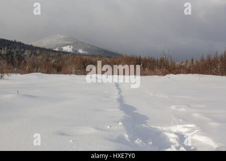 Downes - Oliverian Brook Piste de ski en hiver dans les conditions de drainage du ruisseau blanc d'Albany, New Hampshire. Ce sentier suit l'ancien lit de fer Banque D'Images