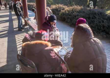 Personnes âgées Les personnes bénéficiant de Chinois leur temps libre par une journée d'hiver au parc du Temple du Ciel à Beijing. Banque D'Images