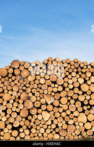 Photo d'une pile de grumes en bois naturel Banque D'Images