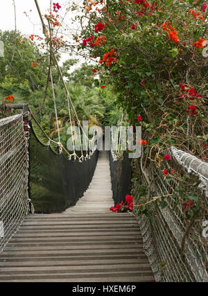 Pont en bois articulée dans Jungle Park, Espagne, Ténérife, île des Canaries. Banque D'Images