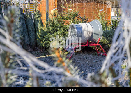 Les arbres de Noël en vente au marché de Noël allemand Banque D'Images