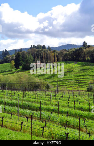 Voir d'anderson valley california winery en Californie du nord Banque D'Images