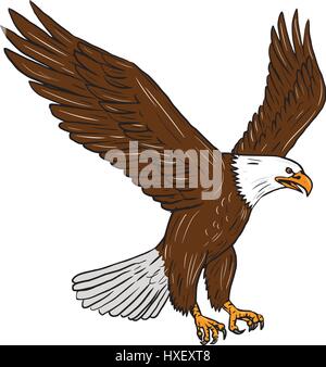 Croquis dessin illustration style de battement des ailes d'aigles à tête blanche vu du côté situé sur fond blanc isolé. Illustration de Vecteur