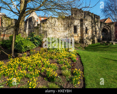 St Leonards Hôpital de Musée Jardins au printemps York Yorkshire Angleterre Banque D'Images