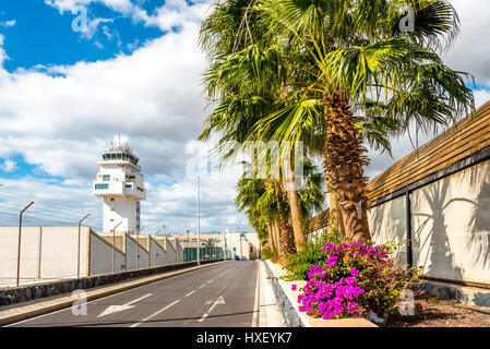 Palmiers sur la route, l'île de Genovesa, aéroport de Tenerife sud Reina Sofia, Tenerife, Canaries, Espagne Banque D'Images