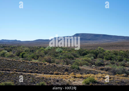 Plaines de Laingsburg, Western Cape, Afrique du Sud Banque D'Images