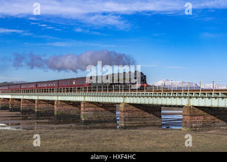 Les Scots Guardsman train à vapeur sur le Eskmeals viaduc sur la rivière Esk en Cumbria. Banque D'Images