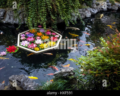 Koi de poissons et de fleurs sur un étang - Shanghai, Chine Banque D'Images