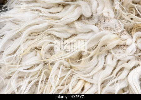 La texture des fibres de laine blanche Banque D'Images